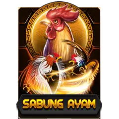 Ayam hokiraja gacor